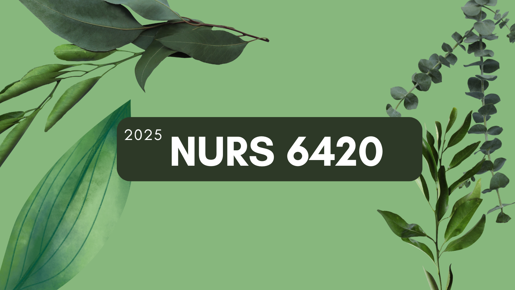 Nurs6420 feb 2025 por whitireia weltecmoodle